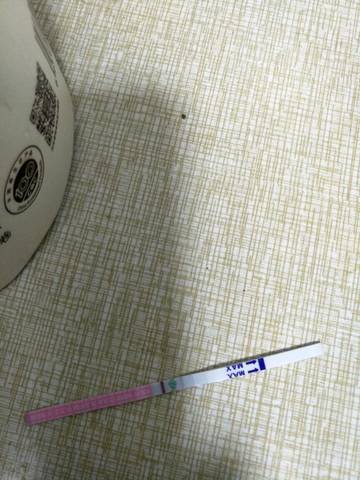 journal_insert_pic_745813207