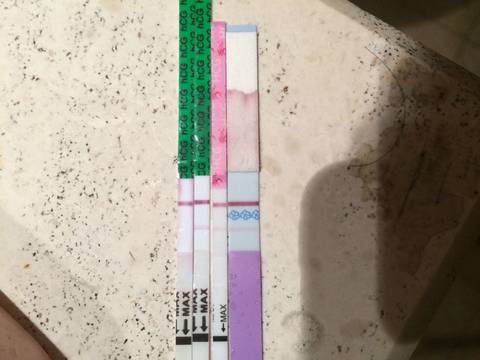 journal_insert_pic_745256161