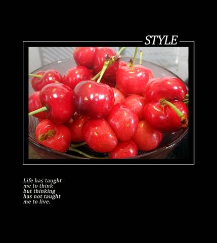 journal_insert_pic_745723924