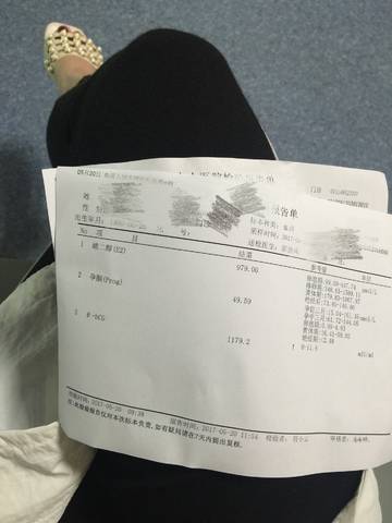 journal_insert_pic_746359915