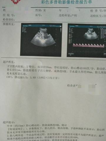 journal_insert_pic_747017271