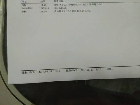 journal_insert_pic_746738377