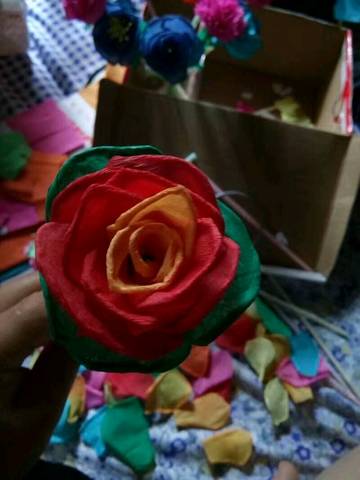 journal_insert_pic_747401484
