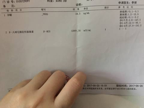 journal_insert_pic_747213888
