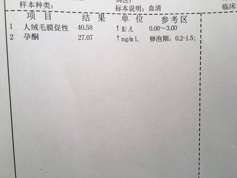 journal_insert_pic_747710827