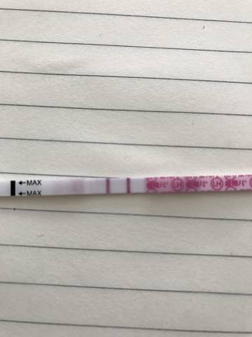 journal_insert_pic_747930902