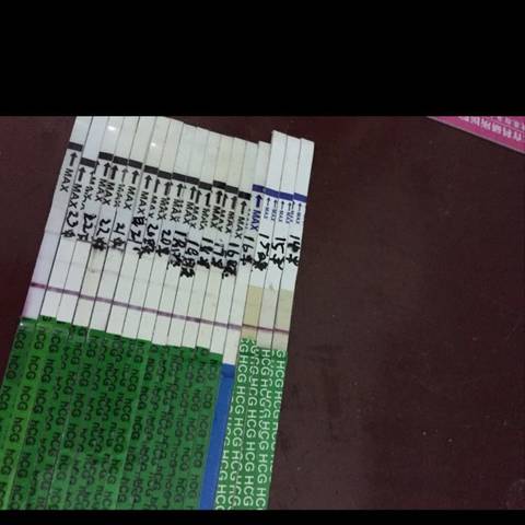journal_insert_pic_748959659