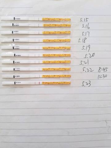 journal_insert_pic_748570245