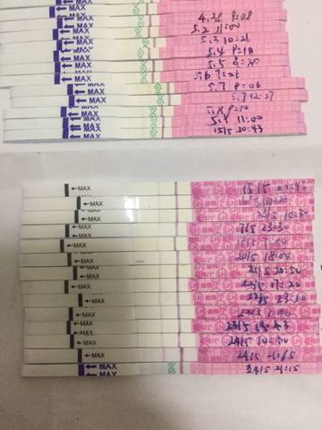journal_insert_pic_749986148