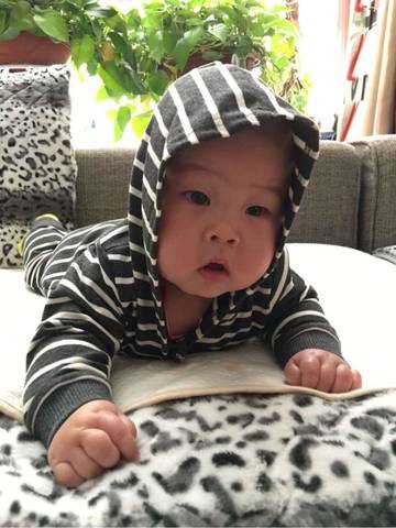 journal_insert_pic_749521434