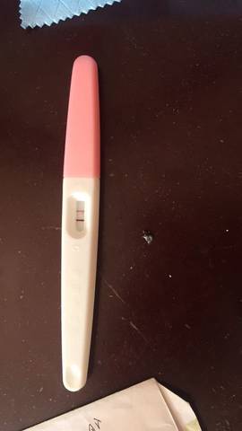 journal_insert_pic_750503981