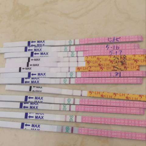 journal_insert_pic_751713372
