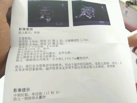 journal_insert_pic_753796522