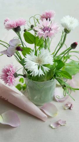 journal_insert_pic_754594310