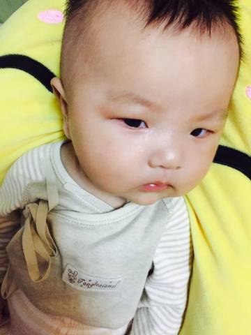 journal_insert_pic_755640225