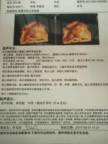 journal_insert_pic_755630129