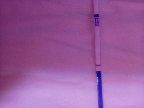journal_insert_pic_756427097