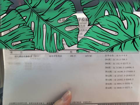 journal_insert_pic_757125428
