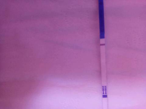 journal_insert_pic_756427106