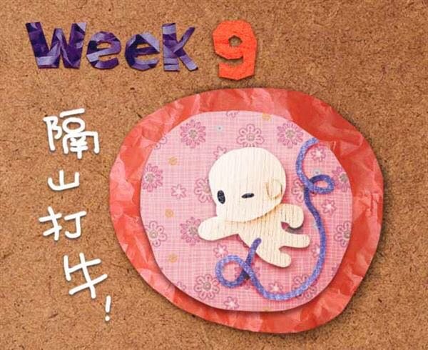 记录记录我的孕早期～愿大家都好孕