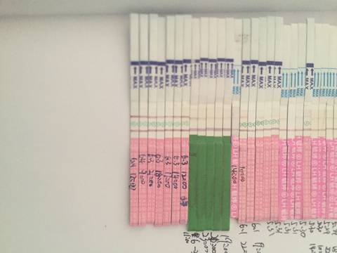 journal_insert_pic_759599810