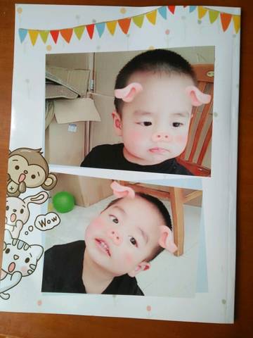 journal_insert_pic_761529050