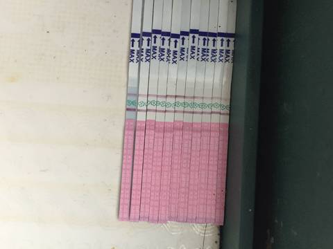 journal_insert_pic_761519269