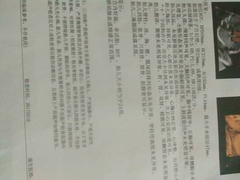journal_insert_pic_761445553