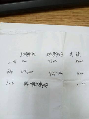 journal_insert_pic_761720420