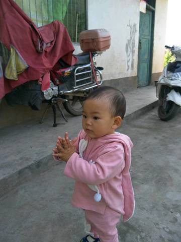 journal_insert_pic_762520215