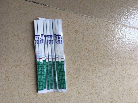 journal_insert_pic_762994776