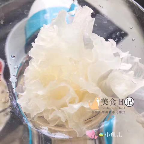 journal_insert_pic_763000807