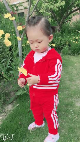 journal_insert_pic_765204226
