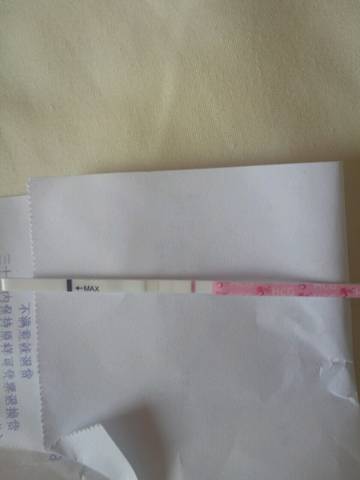 journal_insert_pic_765726054