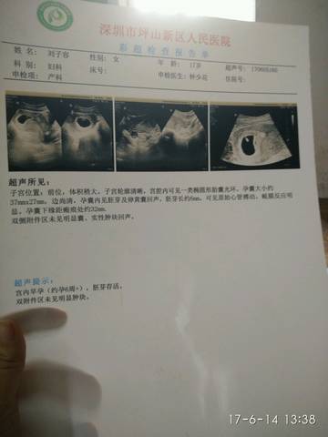 journal_insert_pic_768102842