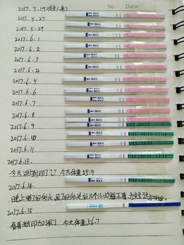 journal_insert_pic_768679436