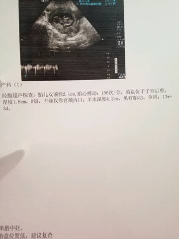 journal_insert_pic_769572751
