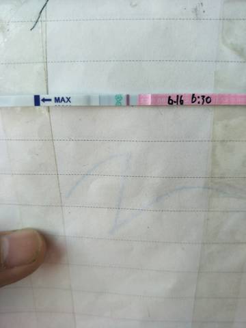 journal_insert_pic_769402519