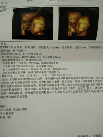 journal_insert_pic_769652921