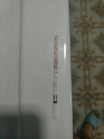 journal_insert_pic_769803043