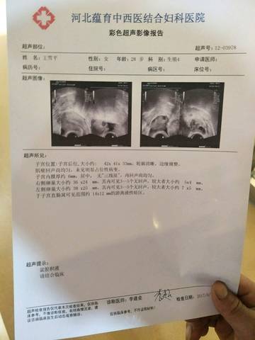 journal_insert_pic_770480165