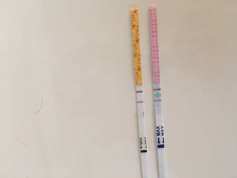 journal_insert_pic_770367547