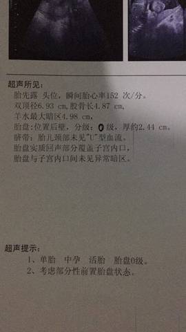 journal_insert_pic_770804505