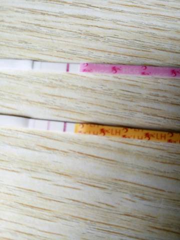 journal_insert_pic_770247916
