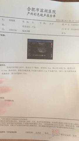 journal_insert_pic_770309934
