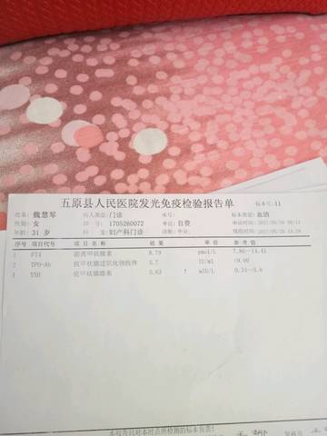 journal_insert_pic_770396609