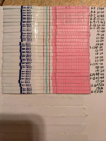 journal_insert_pic_770839026