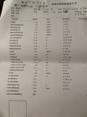 journal_insert_pic_771154866