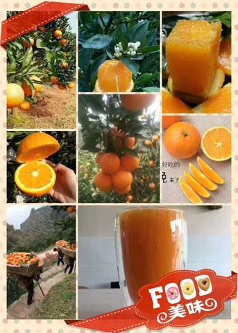 journal_insert_pic_772362529
