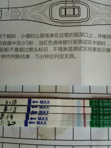 journal_insert_pic_772502060